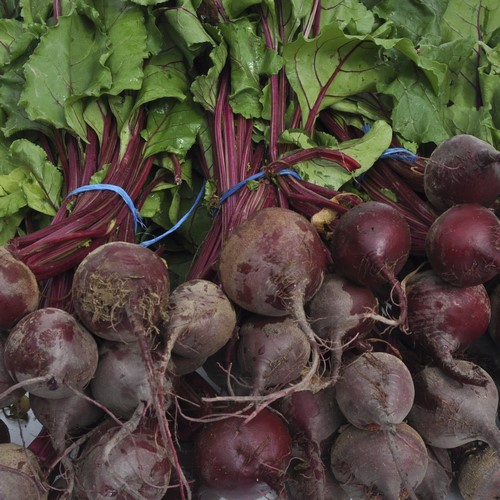 Betteraves rouges nouvelles