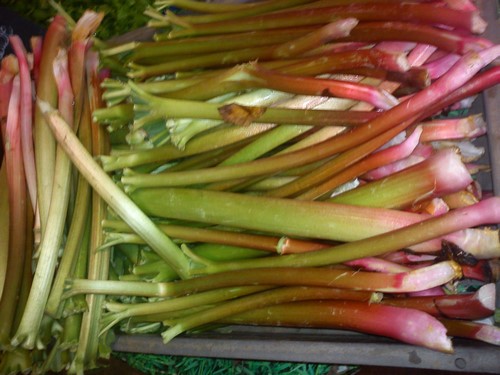 Rhubarbe d'Alsace