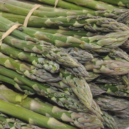 Asperges vertes
